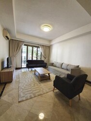 Cavenagh Lodge (D9), Apartment #273067651